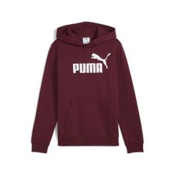 Młodzieżowa polarowa bluza z kapturem ESS z logo No. 1 PUMA Ruby Shimmer Red. Czerwona bluzy z kapturem Puma, m, bez wzorów, z dżerseju, z kapturem. Za 159.00 zł.
