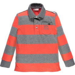 Brums - Polo dziecięce 104-128 cm. Koszulki polo marki Brums, z bawełny, polo, z długim rękawem. W wyprzedaży za 89.90 zł.