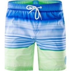 AQUAWAVE Szorty męskie Shadow Blue/Green Stripes r. XL. Odzież kąpielowa marki AQUAWAVE. Za 51.72 zł.