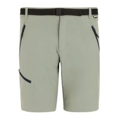 Męskie Spodenki Xert Stretch Shorts. Brązowe szorty Regatta, m, bez wzorów, sportowe. Za 222.99 zł.