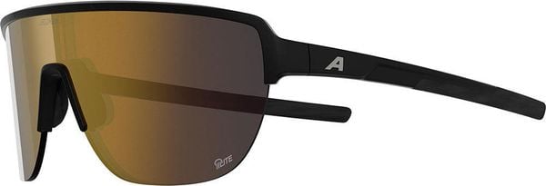 Okulary przeciwsłoneczne Alpina Ram 2.0 Q-Lite. Czarne okulary przeciwsłoneczne Alpina, prostokątne. Za 366.95 zł.