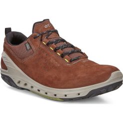 Ecco Buty męskie Biom Venture brązowe r. 42 (82072450653). Buty trekkingowe marki ecco. Za 533.36 zł.