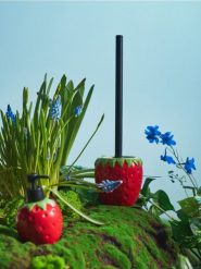 Szczotka toaletowa z motywem truskawki - czerwony. Perfumy męskie Sinsay. Za 29.99 zł.