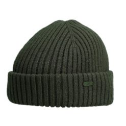 Czapka Męska 4F. Zielone czapki zimowe 4F, bez wzorów. Za 60.99 zł.