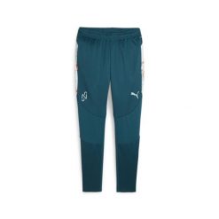 Piłkarskie spodnie treningowe PUMA x NEYMAR JR Creativity PUMA. Brązowe spodnie treningowe długie Puma, xl, bez wzorów, z dresówki. Za 229.99 zł.