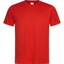 Czerwony Bawełniany T-Shirt Męski Bez Nadruku -STEDMAN- Koszulka, Krótki Rękaw, Basic, U-neck. Czerwone bluzki z długim rękawem Stedman, l, bez wzorów, z bawełny, bez kołnierzyka, bez ramiączek. Za 40.00 zł.
