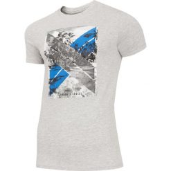 T-shirt męski TSM025A - chłodny jasny szary melanż. T-shirty marki 4F. Za 44.99 zł.