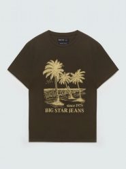 Koszulka męska z kontrastowym nadrukiem khaki Omer 303. Zielone t-shirty BIG STAR, l, bez wzorów, z bawełny, bez kołnierzyka, bez ramiączek. Za 79.99 zł.