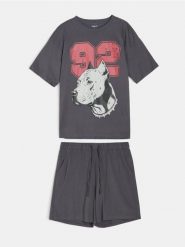 Bawełniana dwuczęściowa piżama z nadrukiem pitbulla - szary. Szare piżamy Sinsay, l, bez wzorów, z bawełny, bez ramiączek. Za 35.99 zł.