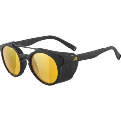 Okulary przeciwsłoneczne Alpina Glace P. Brązowe okulary przeciwsłoneczne Alpina. Za 303.00 zł.