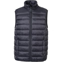 Kurtka puchowa Whistler Horis Pro-Lite. Czarne kurtki WHISTLER, xl, bez wzorów, z poliamidu, bez kaptura. Za 260.00 zł.