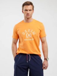 Koszulka męska z nadrukiem pomaraŅczowa Bester 703. Brązowe t-shirty BIG STAR, l, bez wzorów, z bawełny, bez kołnierzyka, bez ramiączek. Za 99.99 zł.