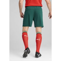 Męskie szorty Portugalia 2025 PUMA Blessing Green Sugared Almond Beige. Brązowe szorty Puma, l, bez wzorów, sportowe. Za 224.50 zł.