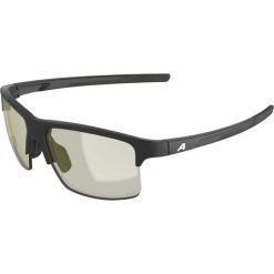 Okulary przeciwsłoneczne Alpina Eagle Q-Lite. Czarne okulary przeciwsłoneczne Alpina. Za 219.99 zł.