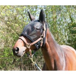 Czapka dla koni wypasanych na pastwisku T de T. Czarne czapki zimowe T DE T, bez wzorów. Za 175.50 zł.