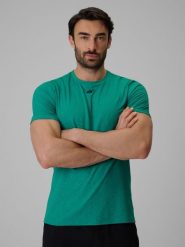 4F Koszulka treningowa regular szybkoschnąca męska - zielona S. Zielone t-shirty 4F, m, bez wzorów, z materiału, bez kołnierzyka, bez ramiączek. Za 99.99 zł.