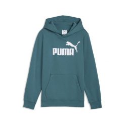 Młodzieżowa polarowa bluza z kapturem ESS z logo No. 1 PUMA. Szara bluzy z kapturem Puma, m, bez wzorów, z dżerseju, z kapturem. Za 149.00 zł.