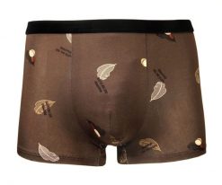 Bokserki Obcisłe, Brązowe w Liście, Bawełniane, Majtki z Elastanem -ALTIES. Brązowe bokserki Alties, l, bez wzorów, z bawełny. Za 35.00 zł.