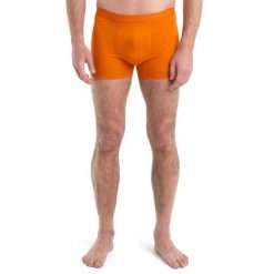 Bokserki Męskie Icebreaker Anatomica Cool-Lite. Brązowe bokserki Icebreaker, m, bez wzorów, z wełny. Za 139.99 zł.
