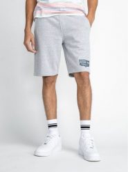 Petrol Industries Szorty sportowe M-1030-SHO506 Szary Regular Fit. Szare krótkie spodenki sportowe Petrol Industries, m, bez wzorów, z bawełny. Za 139.99 zł.