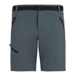 Męskie Spodenki Xert Stretch Shorts. Szare szorty Regatta, m, bez wzorów, sportowe. Za 222.99 zł.