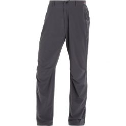 Adidas Performance TERREX LITEFLEX Spodnie materiałowe grey five. Spodnie materiałowe marki adidas Performance. Za 349.00 zł.