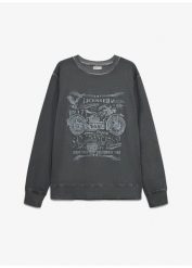 Bluza dresowa z czystej bawełny. Niebieskie bluzy bonprix, m, bez wzorów, z bawełny, bez kaptura. Za 109.99 zł.