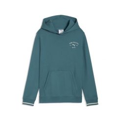 Młodzieżowa bluza z kapturem PUMA Class z grafiką PUMA. Szara bluzy z kapturem Puma, m, bez wzorów, z kapturem. Za 229.00 zł.