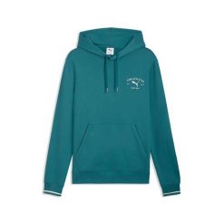 Bluza Puma Class Graphic Hoodie Tr Dorośli. Zielone bluzy z kapturem Puma, l, bez wzorów, z bawełny, z kapturem. Za 291.99 zł.