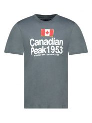 Canadian Peak Koszulka "Jackeak" w kolorze szarym rozmiar: M. Szare bezrękawniki Canadian Peak, m, z aplikacjami, z bawełny, bez kołnierzyka, bez ramiączek. Za 61.60 zł.