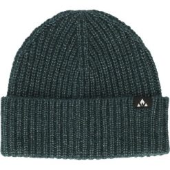 Czapka Whistler Plico. Niebieskie czapki zimowe WHISTLER, bez wzorów. Za 158.00 zł.