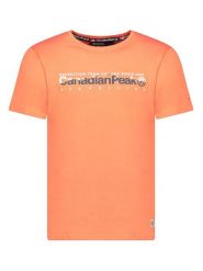 Canadian Peak Koszulka "Jermaniteak" w kolorze koralowym rozmiar: XL. Czerwone bezrękawniki Canadian Peak, xl, bez wzorów, z bawełny, bez kołnierzyka, bez ramiączek. Za 56.99 zł.