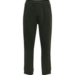 Spodnie do biegania Hummel Lmove Classics. Zielone buty do biegania Hummel, bez wzorów, bez zapięcia, do biegania. W wyprzedaży za 170.00 zł.