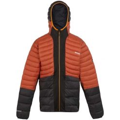 Męska Kurtka Leedre Hybrid Padded Jacket. Czarne kurtki Regatta, m, bez wzorów, z puchu, bez kaptura. Za 176.99 zł.