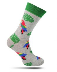 Skarpetki Casualowe, Szare w Kolorowe Papugi, ARA,, Męskie -EM Men's Accessories. Szare skarpety Em men's accessories, bez wzorów, z bawełny. Za 29.99 zł.