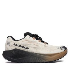 Buty do biegania Salomon. Brązowe buty do biegania Salomon, bez wzorów, z gore-texu, bez zapięcia, do biegania, gore-tex. Za 689.99 zł.