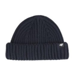 Czapka Męska 4F. Niebieskie czapki zimowe 4F, bez wzorów. Za 60.99 zł.