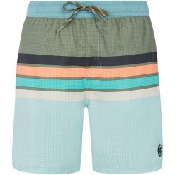 Szorty plażowe męskie PROTEST PRTAvik. Zielone odzież kąpielowa Protest, m, bez wzorów, sportowe. Za 219.99 zł.