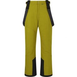 Pantalony narciarskie Whistler Drizzle Pro. Zielone spodnie narciarskie i snowboardowe WHISTLER, m, bez wzorów, narciarskie. Za 319.99 zł.