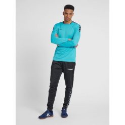 Hummel koszulka męska z długim rękawem hml Authentic Poly Jersey. Fioletowe bluzki z długim rękawem Hummel, m, bez wzorów, z jersey, bez kołnierzyka, bez ramiączek. Za 91.00 zł.