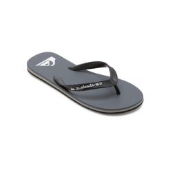 Klapki dla Mężczyzn MOLOKAI CORE. Szare klapki Quiksilver, z gumy. Za 89.99 zł.