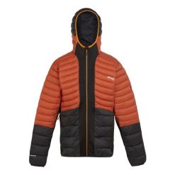 Kurtka z kapturem Regatta Leedre. Czarne kurtki Regatta, bez wzorów, z puchu, z kapturem. W wyprzedaży za 352.50 zł.