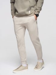 Spodnie męskie dresowe ze ściągaczem przy nogawce BASIC jogger - jasnobeżowe V1 - Rozmiar: S. Szare joggery i bojówki Ombre Clothing, m, z aplikacjami, z bawełny. W wyprzedaży za 118.99 zł.