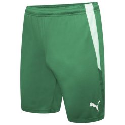 Męskie Spodenki Team Liga. Zielone szorty Puma, m, bez wzorów, sportowe. Za 117.99 zł.