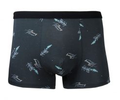 Bokserki Obcisłe, Grafitowe w Listki, Bawełniane, Majtki z Elastanem -ALTIES. Szare bokserki Alties, l, bez wzorów, z bawełny. Za 35.00 zł.