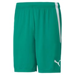 Spodenki męskie Puma teamLIGA. Czarne szorty Puma, m, bez wzorów, sportowe. Za 144.50 zł.