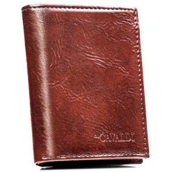 Pionowy, brązowy portfel męski ze skóry ekologicznej bez zapięcia - 4U Cavaldi. Brązowe portfele 4U Cavaldi, bez wzorów, ze skóry ekologicznej. Za 24.99 zł.