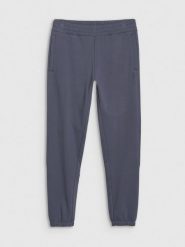 4F Spodnie dresowe joggery męskie - szare XXL. Szare joggery i bojówki 4F, l, bez wzorów, z bawełny, sportowe. Za 159.99 zł.