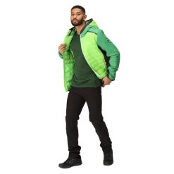 Męska Kurtka Trutton II Baffled Padded Jacket. Zielone kurtki Regatta, l, bez wzorów, z elastanu, z kapturem. Za 646.99 zł.
