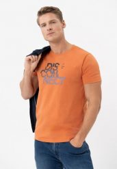 T-shirt z printem T-DIS. Brązowe t-shirty Volcano, l, bez wzorów, z bawełny, bez kołnierzyka, bez ramiączek. Za 59.99 zł.